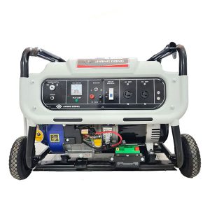 موتور برق جیانگ دانگ 7.5 کیلو وات JD10000 JWE2