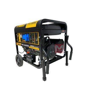 موتور برق فیروکسی 8.3کیلووات FPG12800E2