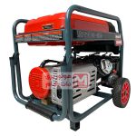 موتور برق  سه‌گانه‌سوز دنیز مدل ZSP 21000cng - تصویر 4